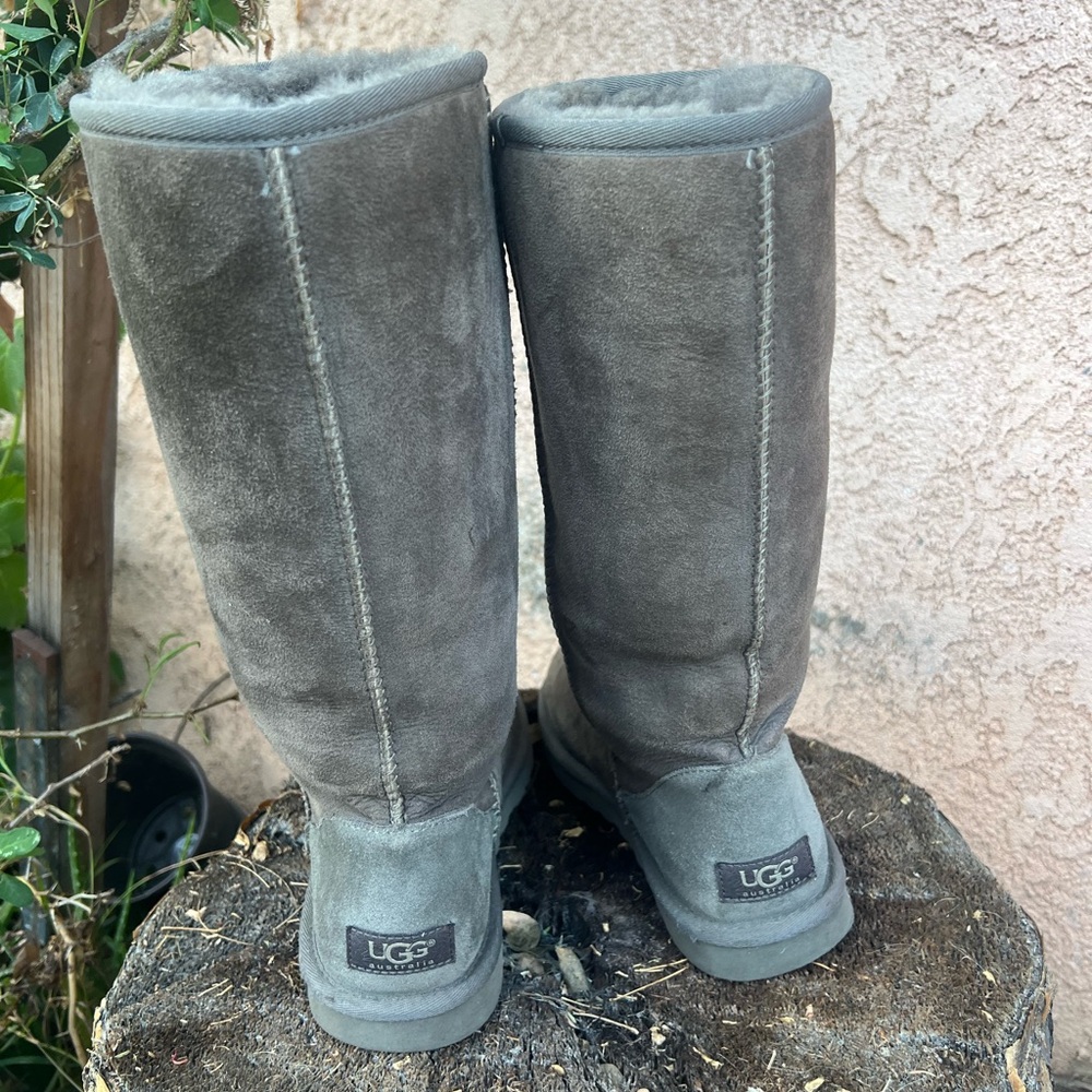 Ugg Tall
